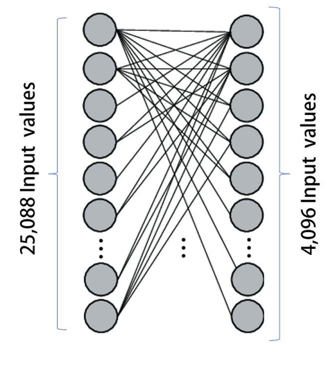 Fully Connected Layer