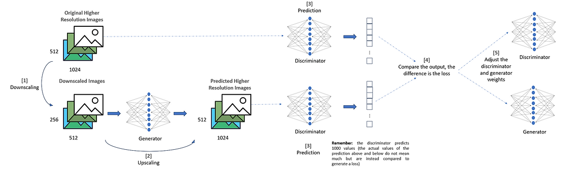 GAN Training Process