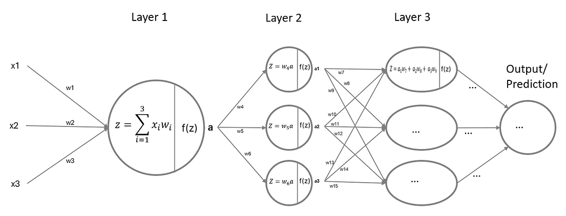 Multi-Layer Network